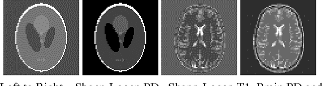 Figure 4 for Fast Acquisition for Quantitative MRI Maps: Sparse Recovery from Non-linear Measurements