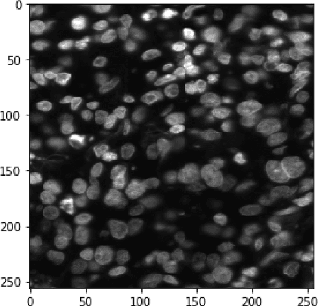 Figure 4 for Fast Fourier Transformation for Optimizing Convolutional Neural Networks in Object Recognition