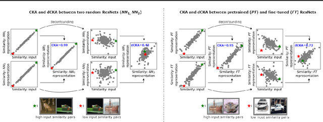 Figure 1 for Deconfounded Representation Similarity for Comparison of Neural Networks