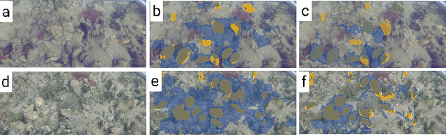 Figure 1 for OysterNet: Enhanced Oyster Detection Using Simulation
