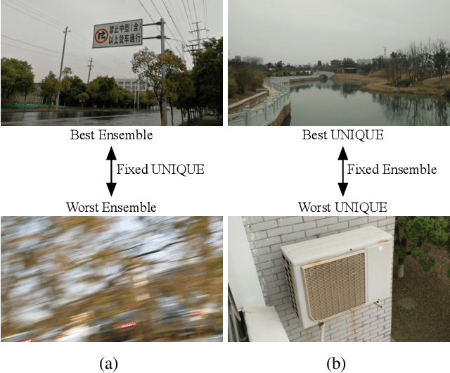 Figure 1 for Troubleshooting Blind Image Quality Models in the Wild