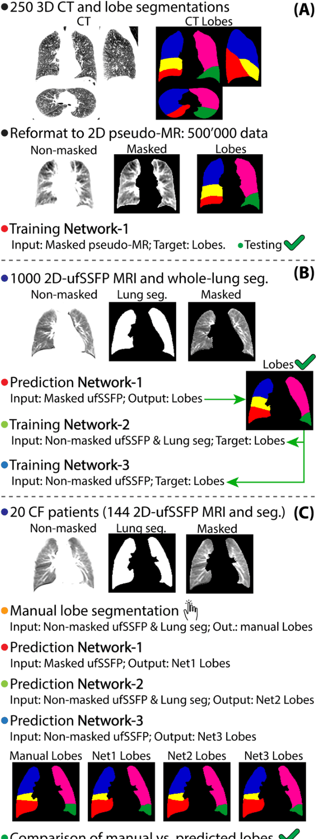 Figure 3 for MRI lung lobe segmentation in pediatric cystic fibrosis patients using a recurrent neural network trained with publicly accessible CT datasets