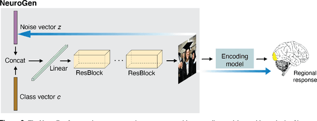 Figure 4 for Personalized visual encoding model construction with small data