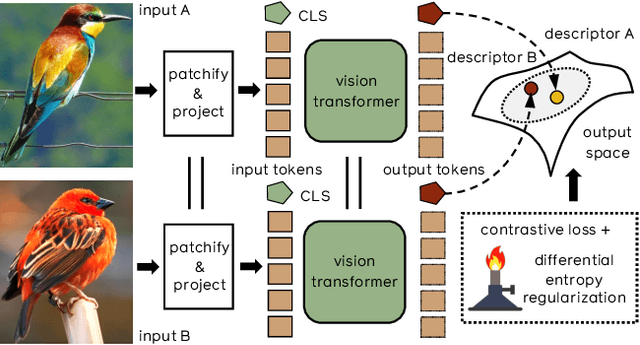 Figure 1 for Training Vision Transformers for Image Retrieval