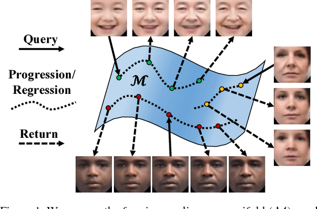 Figure 1 for Age Progression/Regression by Conditional Adversarial Autoencoder