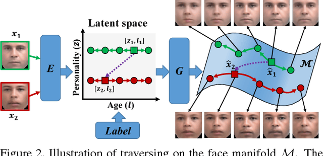Figure 2 for Age Progression/Regression by Conditional Adversarial Autoencoder