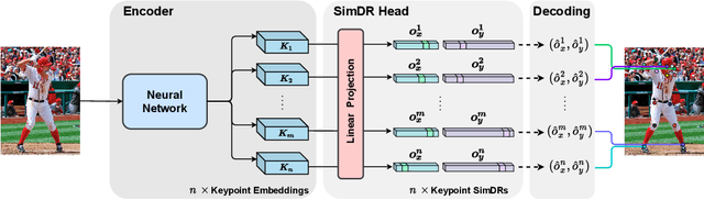 Figure 3 for Is 2D Heatmap Representation Even Necessary for Human Pose Estimation?