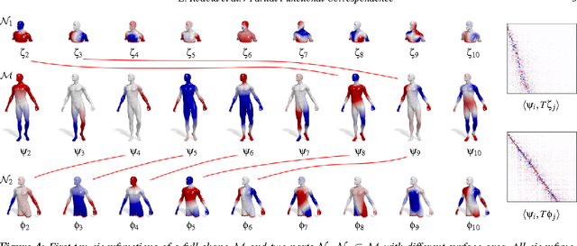 Figure 3 for Partial Functional Correspondence