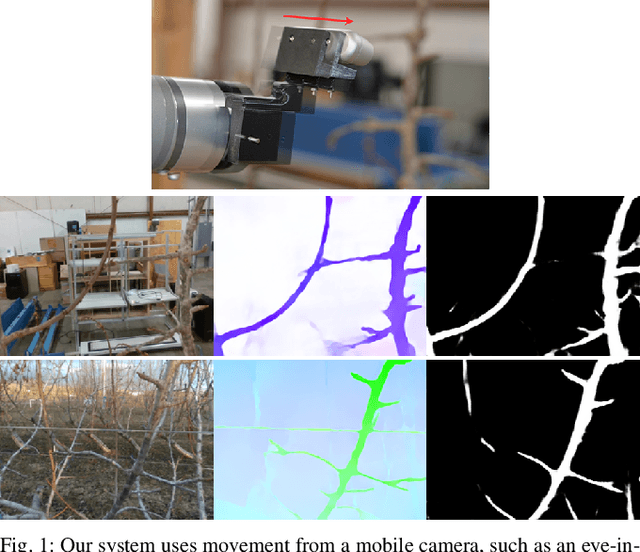 Figure 1 for Optical flow-based branch segmentation for complex orchard environments