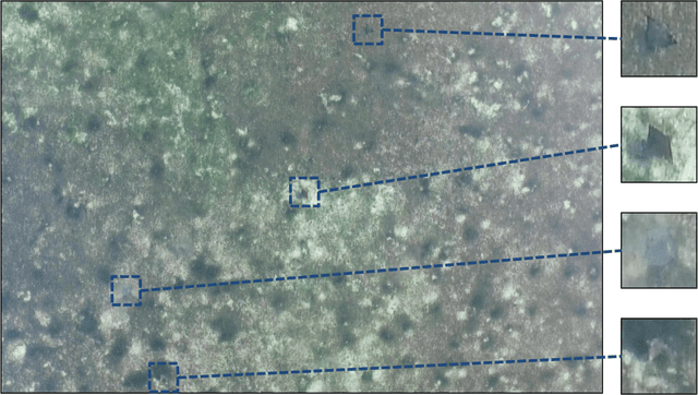 Figure 1 for Stingray Detection of Aerial Images Using Augmented Training Images Generated by A Conditional Generative Model