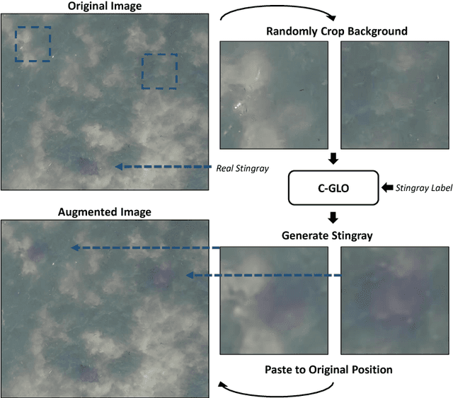 Figure 3 for Stingray Detection of Aerial Images Using Augmented Training Images Generated by A Conditional Generative Model