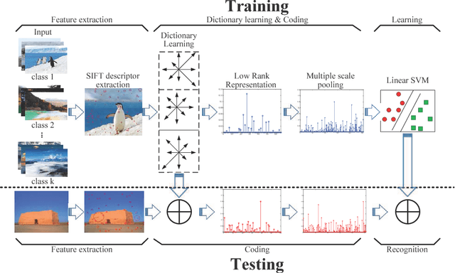 Figure 3 for Fast Low-rank Representation based Spatial Pyramid Matching for Image Classification