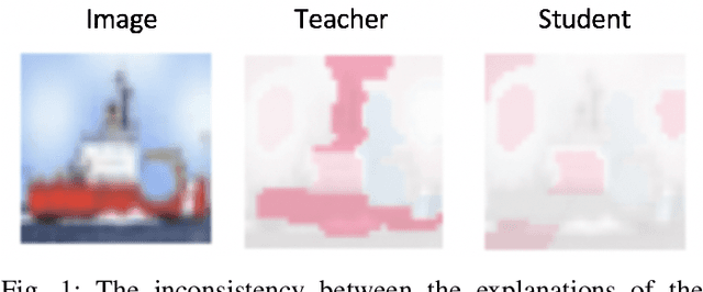 Figure 1 for Learning Interpretation with Explainable Knowledge Distillation