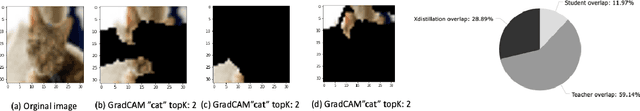 Figure 3 for Learning Interpretation with Explainable Knowledge Distillation