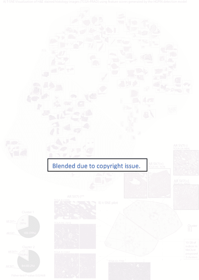 Figure 3 for Biologic and Prognostic Feature Scores from Whole-Slide Histology Images Using Deep Learning