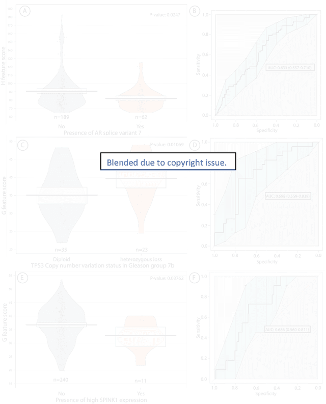 Figure 1 for Biologic and Prognostic Feature Scores from Whole-Slide Histology Images Using Deep Learning