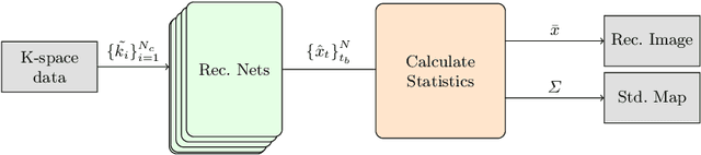 Figure 1 for NPB-REC: Non-parametric Assessment of Uncertainty in Deep-learning-based MRI Reconstruction from Undersampled Data
