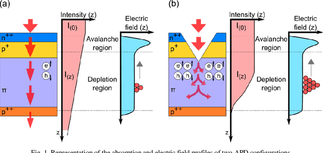 Figure 1 for Avalanche Photodetectors with Photon Trapping Structures for Biomedical Imaging Applications
