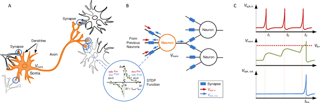 Figure 1 for A CMOS Spiking Neuron for Brain-Inspired Neural Networks with Resistive Synapses and In-Situ Learning