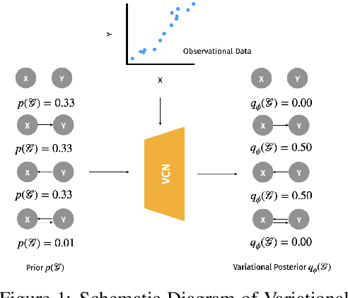 Figure 1 for Variational Causal Networks: Approximate Bayesian Inference over Causal Structures