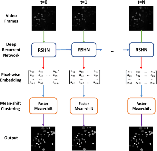 Figure 2 for Faster Mean-shift: GPU-accelerated Embedding-clustering for Cell Segmentation and Tracking