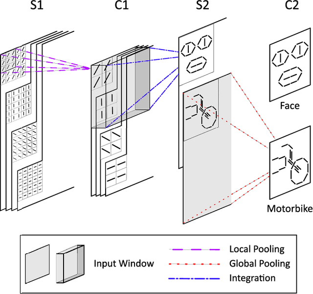 Figure 1 for First-spike based visual categorization using reward-modulated STDP