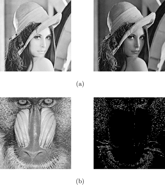 Figure 1 for Distributed High Dimensional Information Theoretical Image Registration via Random Projections