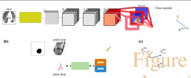 Figure 1 for Radiologist-Level COVID-19 Detection Using CT Scans with Detail-Oriented Capsule Networks
