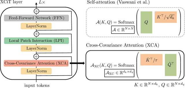Figure 1 for XCiT: Cross-Covariance Image Transformers