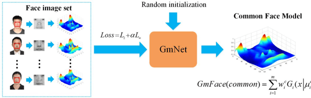 Figure 3 for GmFace: A Mathematical Model for Face Image Representation Using Multi-Gaussian