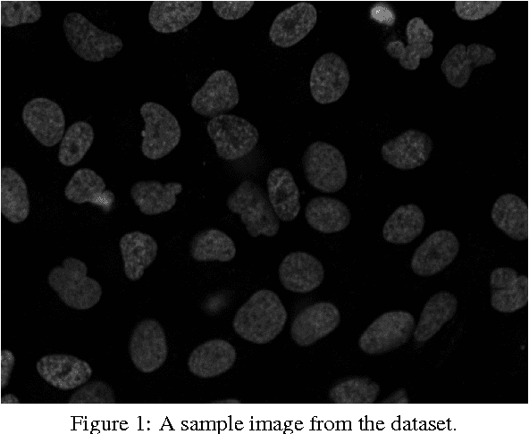 Figure 1 for An Unsupervised Ensemble-based Markov Random Field Approach to Microscope Cell Image Segmentation