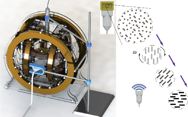 Figure 1 for Magnetic Navigation of a Rotating Colloidal Swarm Using Ultrasound Images