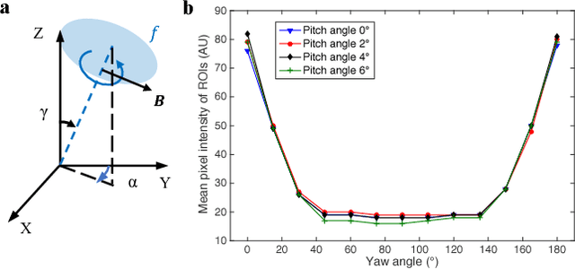 Figure 4 for Magnetic Navigation of a Rotating Colloidal Swarm Using Ultrasound Images