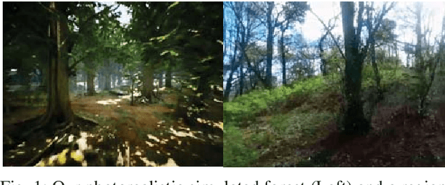 Figure 1 for Visual Appearance Analysis of Forest Scenes for Monocular SLAM