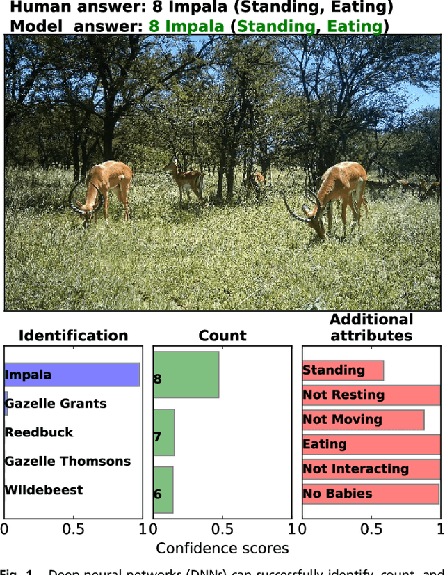 Figure 1 for Automatically identifying, counting, and describing wild animals in camera-trap images with deep learning