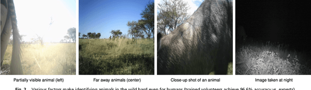 Figure 3 for Automatically identifying, counting, and describing wild animals in camera-trap images with deep learning