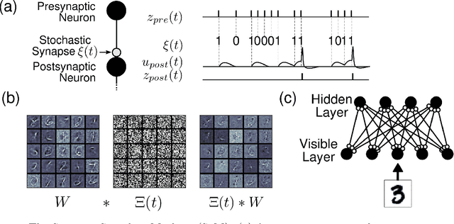 Figure 1 for Stochastic Synapses Enable Efficient Brain-Inspired Learning Machines