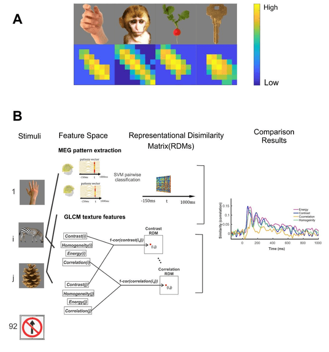 Figure 1 for The Neural Correlates of Image Texture in the Human Vision Using Magnetoencephalography