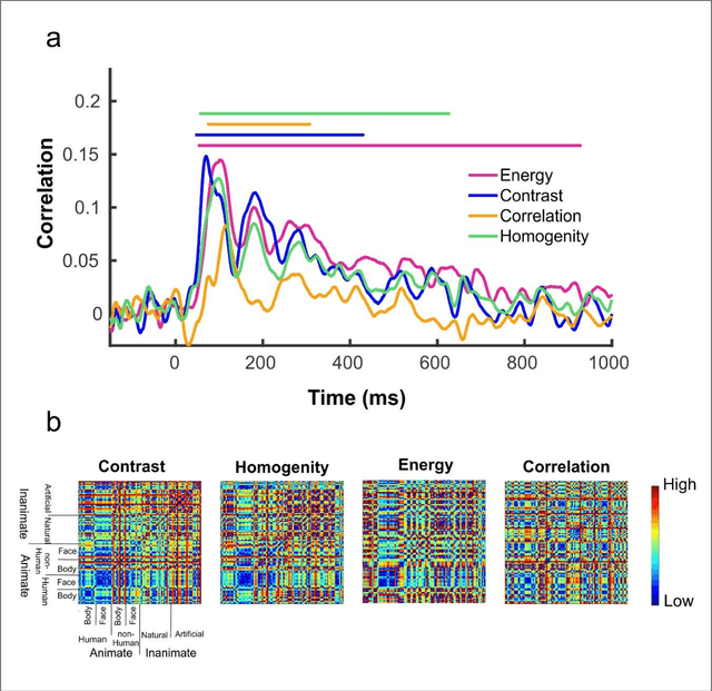 Figure 2 for The Neural Correlates of Image Texture in the Human Vision Using Magnetoencephalography