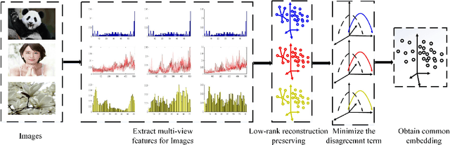 Figure 1 for Multi-view Low-rank Preserving Embedding: A Novel Method for Multi-view Representation