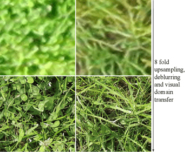 Figure 1 for Unsupervised domain adaptation and super resolution on drone images for autonomous dry herbage biomass estimation
