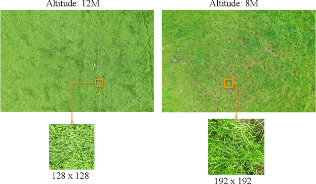 Figure 3 for Unsupervised domain adaptation and super resolution on drone images for autonomous dry herbage biomass estimation