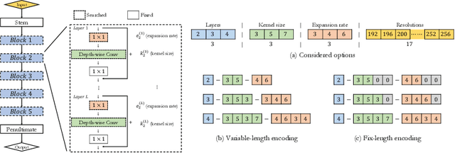 Figure 3 for NSGANetV2: Evolutionary Multi-Objective Surrogate-Assisted Neural Architecture Search