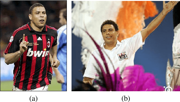 Figure 2 for VisualSem: a high-quality knowledge graph for vision and language