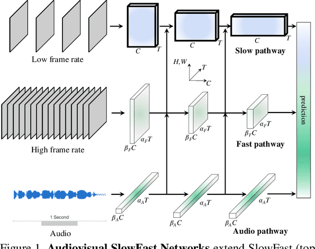 Figure 1 for Audiovisual SlowFast Networks for Video Recognition