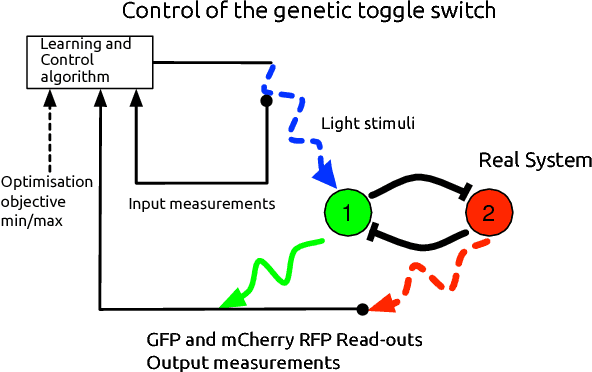 Figure 1 for Toggling a Genetic Switch Using Reinforcement Learning