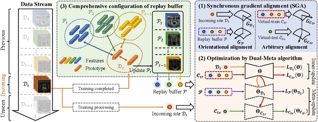 Figure 1 for Learning towards Synchronous Network Memorizability and Generalizability for Continual Segmentation across Multiple Sites