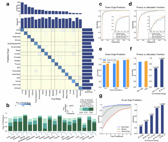 Figure 3 for Deep Learning-based Computational Pathology Predicts Origins for Cancers of Unknown Primary