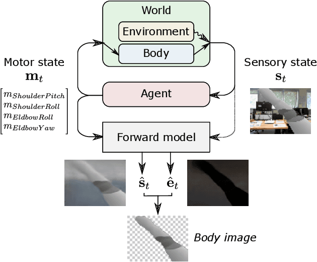 Figure 1 for Self-supervised Body Image Acquisition Using a Deep Neural Network for Sensorimotor Prediction