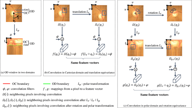 Figure 1 for DDNet: Cartesian-polar Dual-domain Network for the Joint Optic Disc and Cup Segmentation